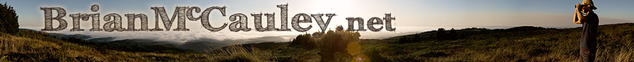 BrianMcCauley.net